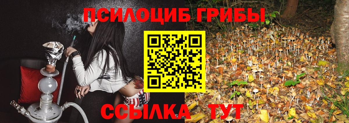 Псилоцибиновые грибы MAGIC MUSHROOMS Балашов