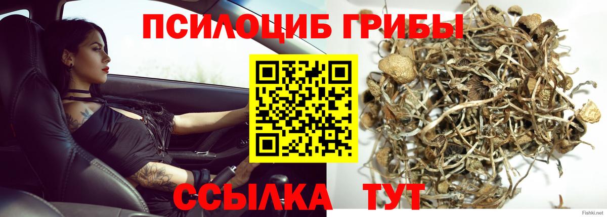 Псилоцибиновые грибы прущие грибы  Вход с VPN  Балашов  Галлюциногенные грибы MAGIC MUSHROOMS 